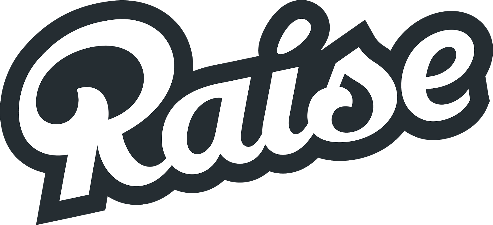 Raise company logo, digital product demo #32513