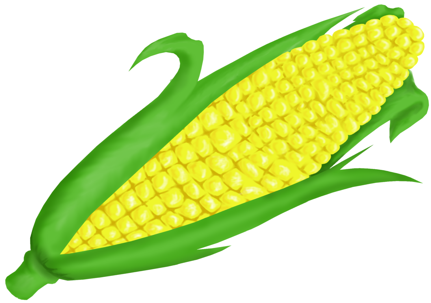 corn clipart cornclipart vegetable clip art #21040