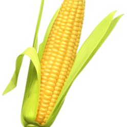 corn, cookie png transparent images png only #20984