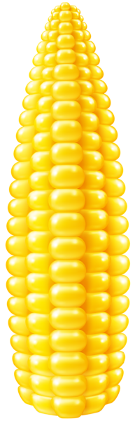corn png clip art image gallery yopriceville high #21045