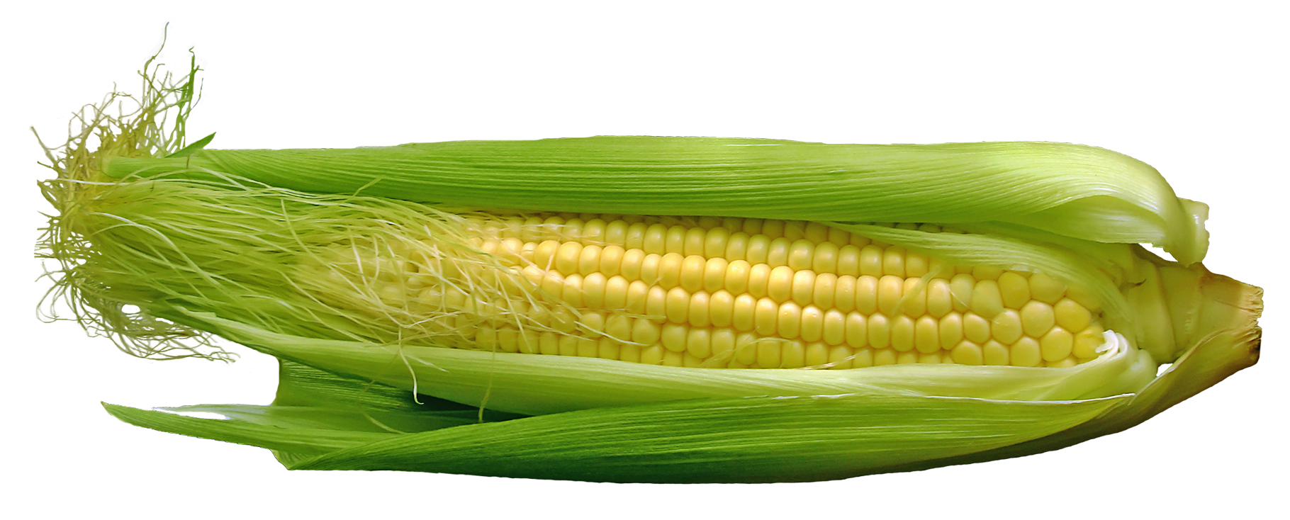 corn png image pngpix #21026