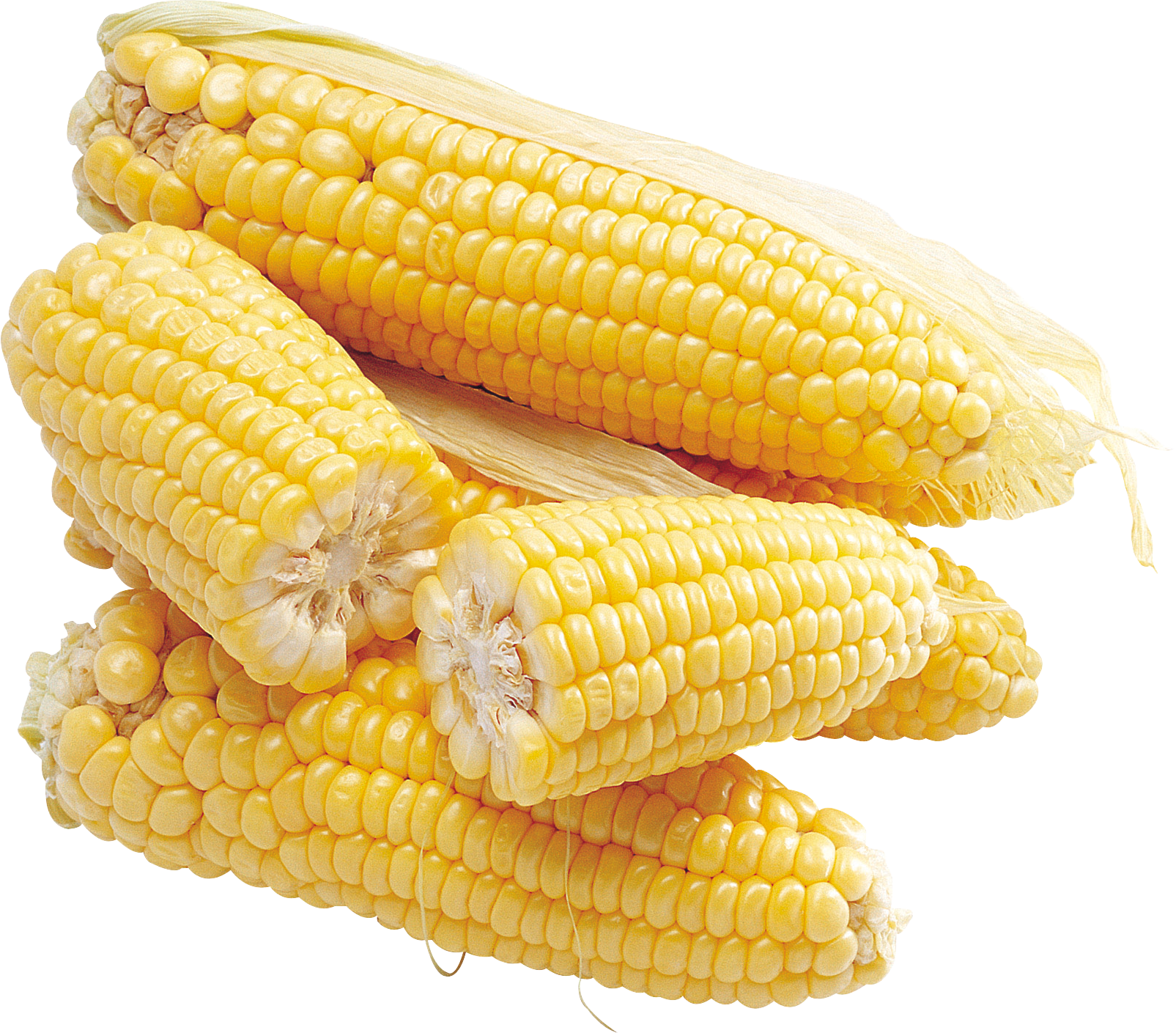 corn png images for download crazypngm crazy #21001