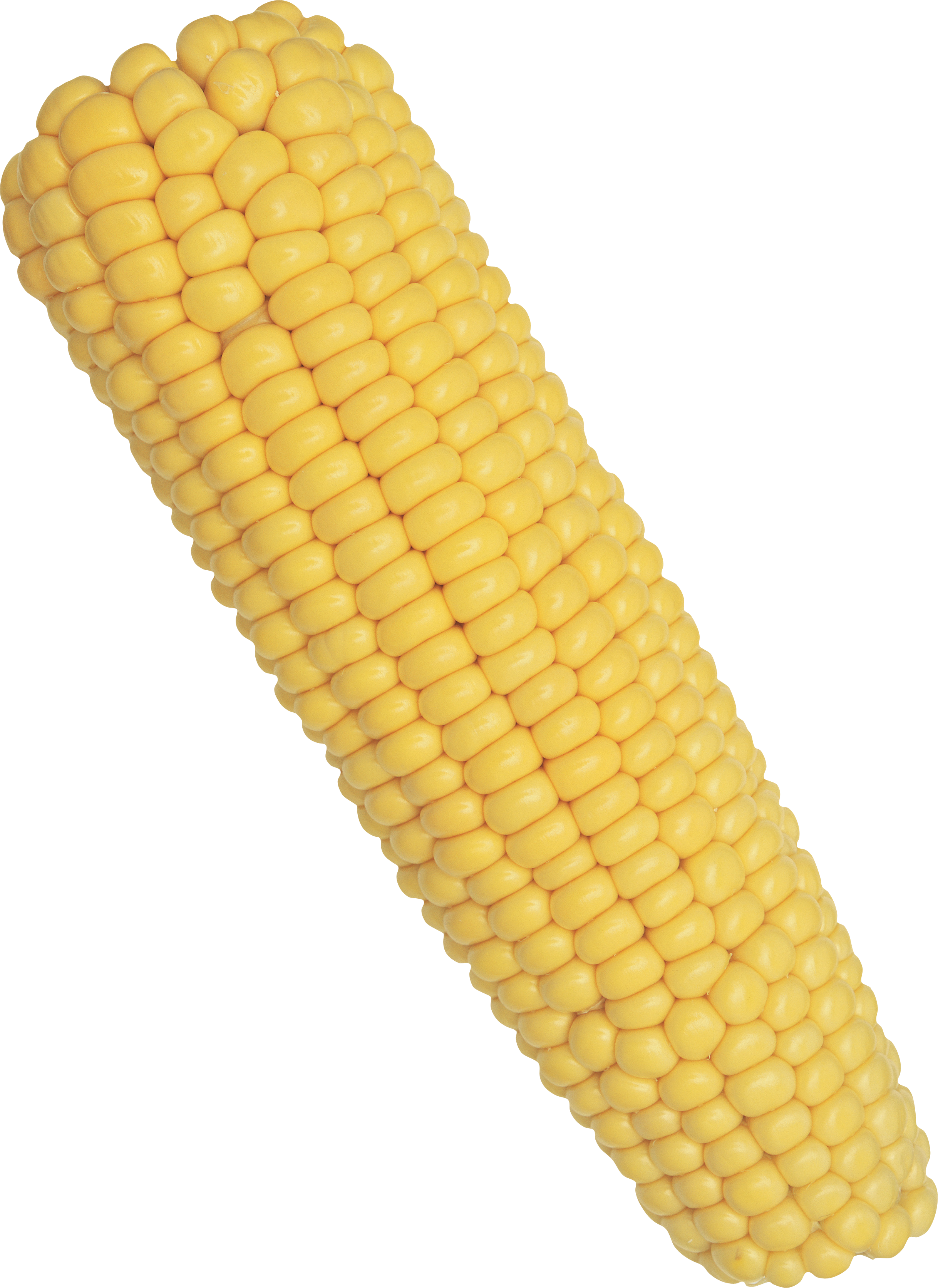 corn png images for download crazypngm crazy #21030