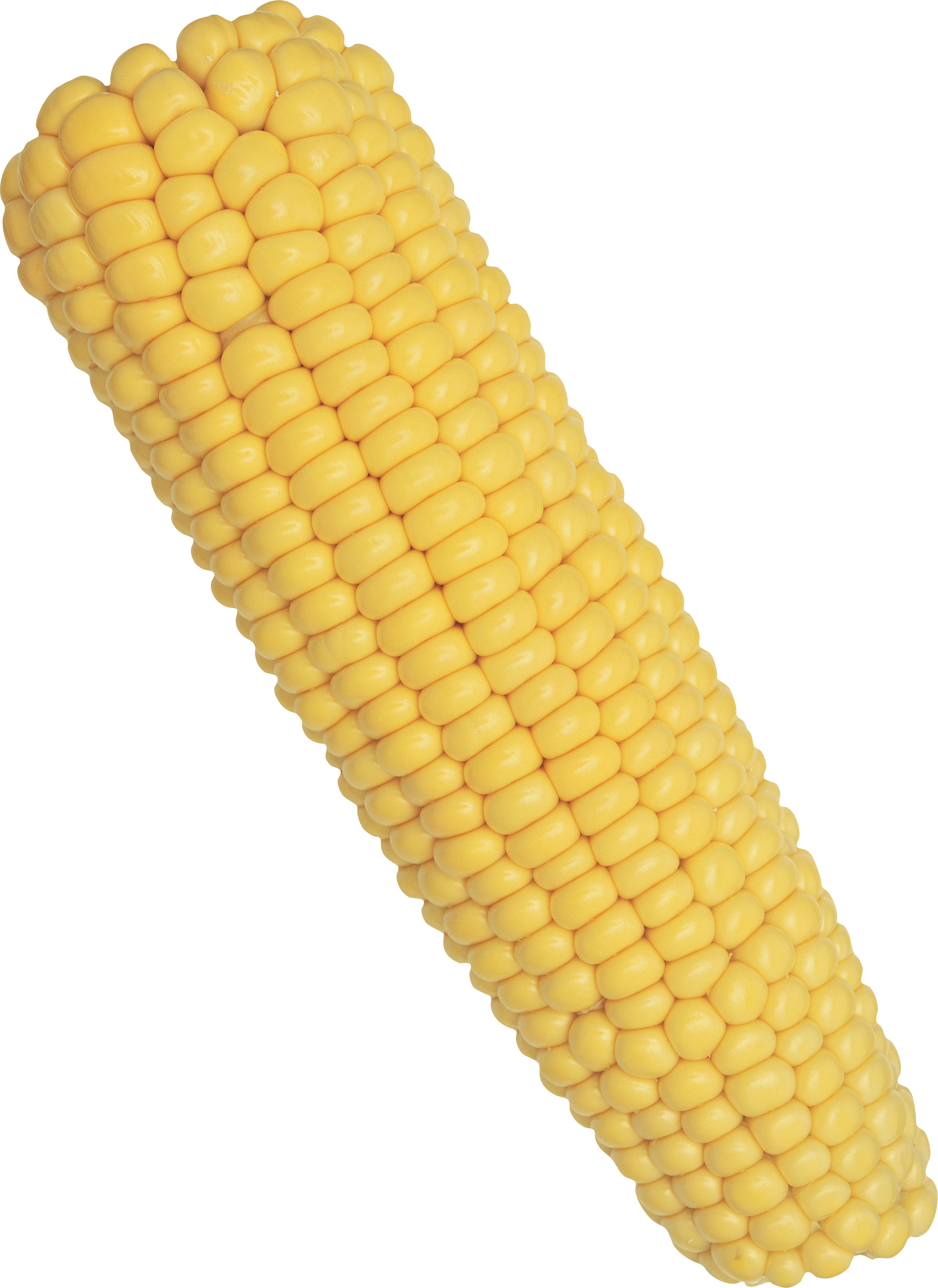 Corn