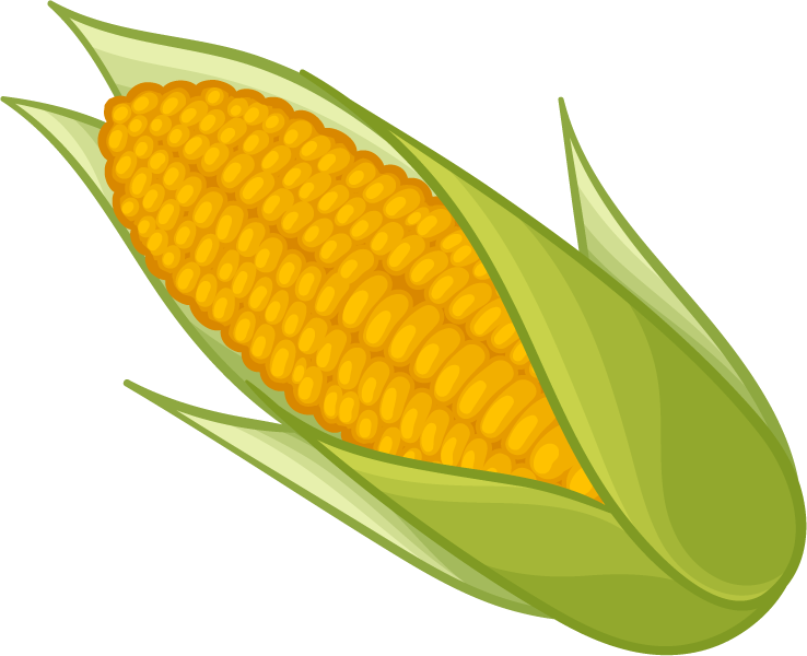 corn png transparent images png only #21003
