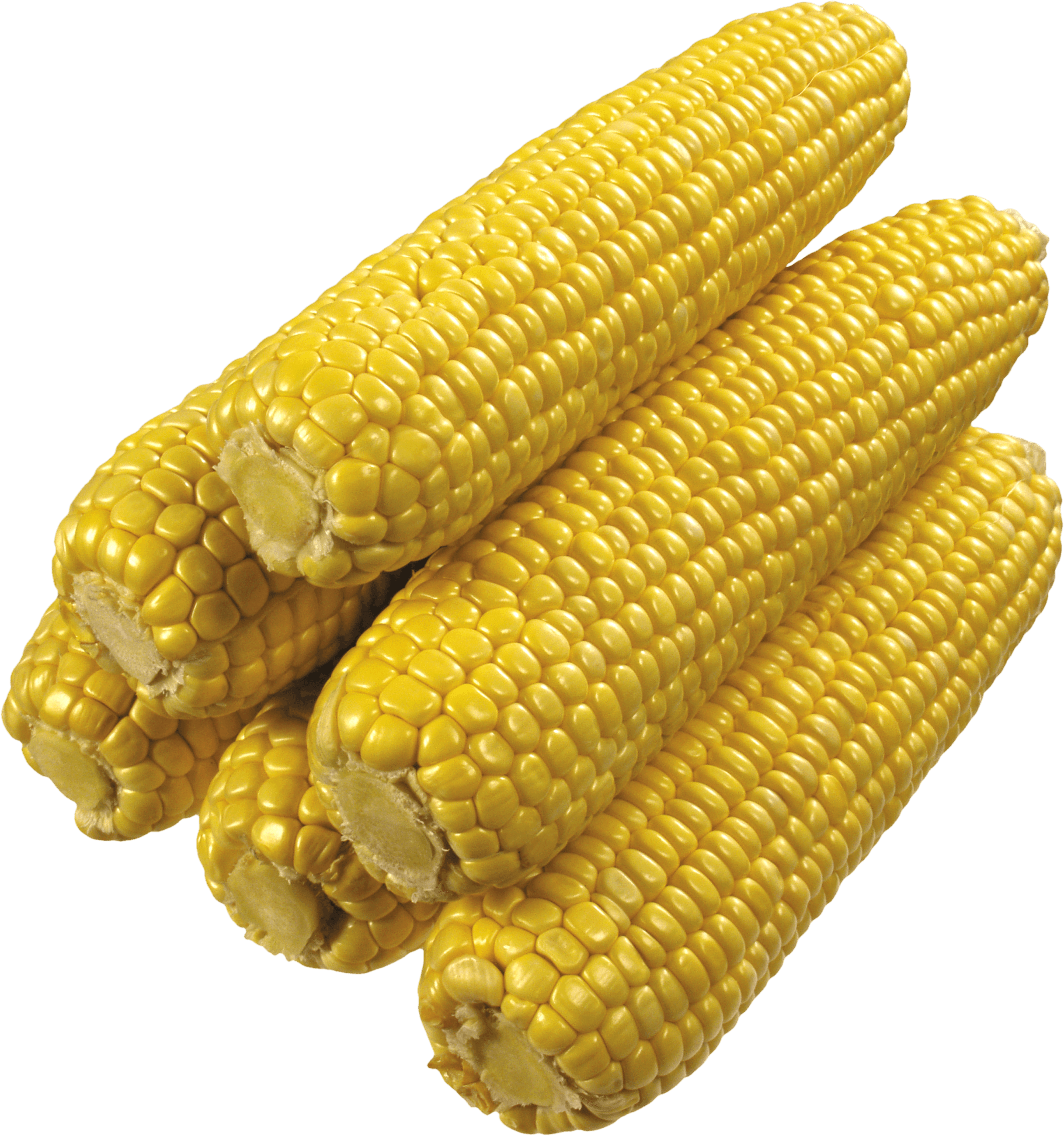 corn, stack corns transparent png stickpng #21032