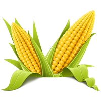 download corn png photo images and clipart pngimg #21041