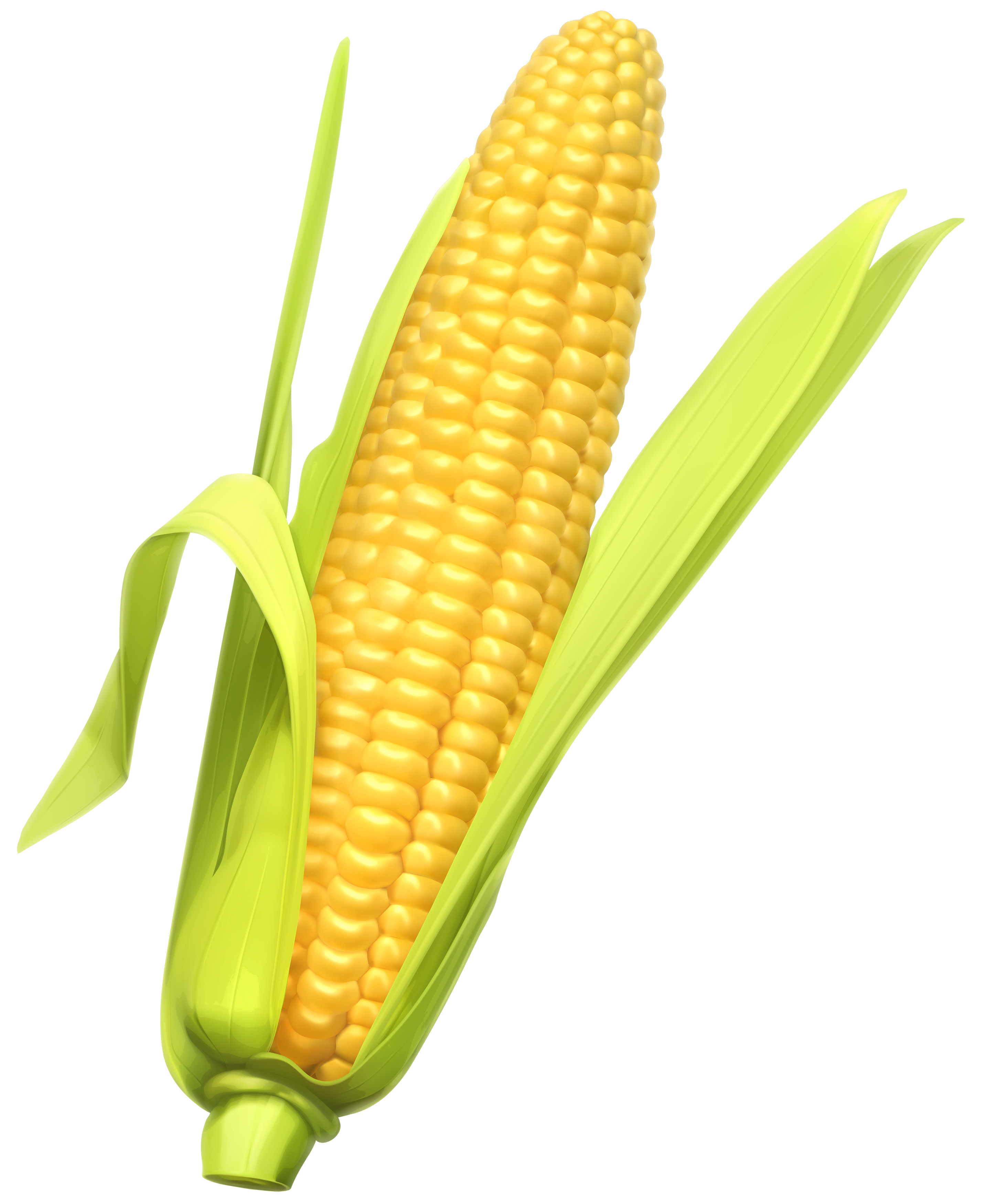 vector clipart corn pencil and color vector clipart corn #20992