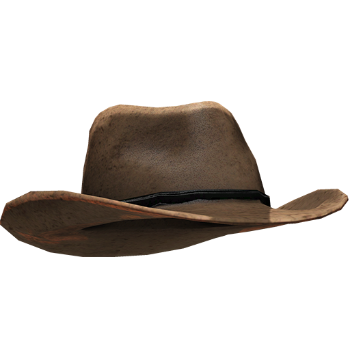 brown cowboy hat leather transparent background