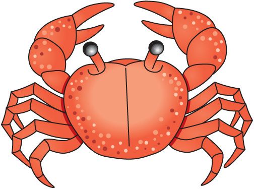crab best images about sea animals clip art pinterest #34979