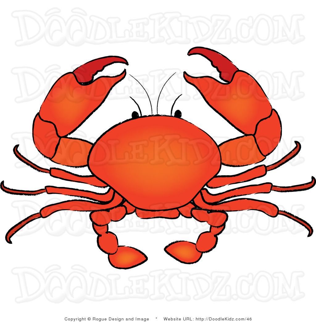 crab clip art crab clipart crab clip art clip art 34974