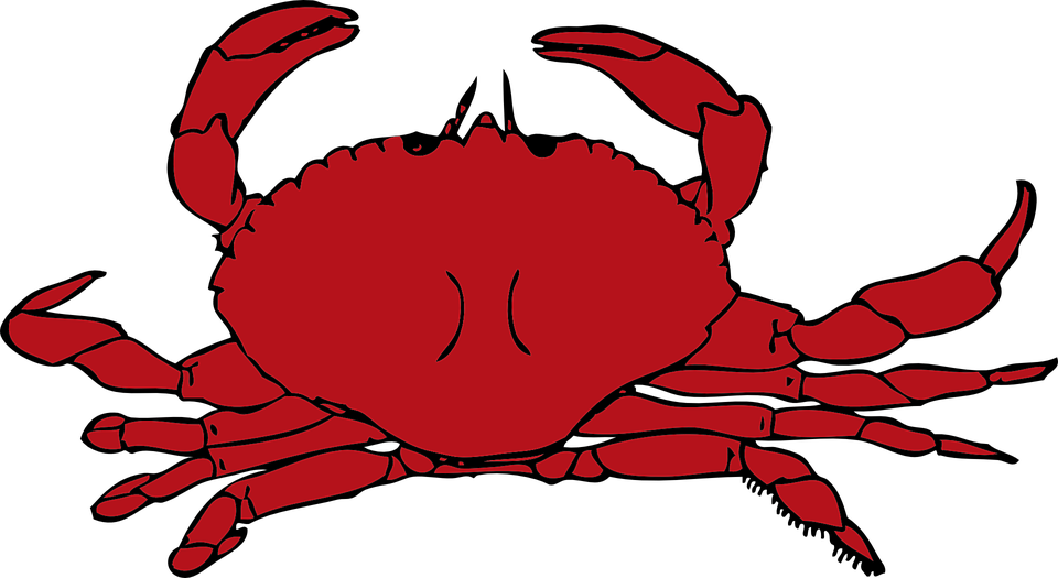 crab red crustaceans vector graphic pixabay 34980
