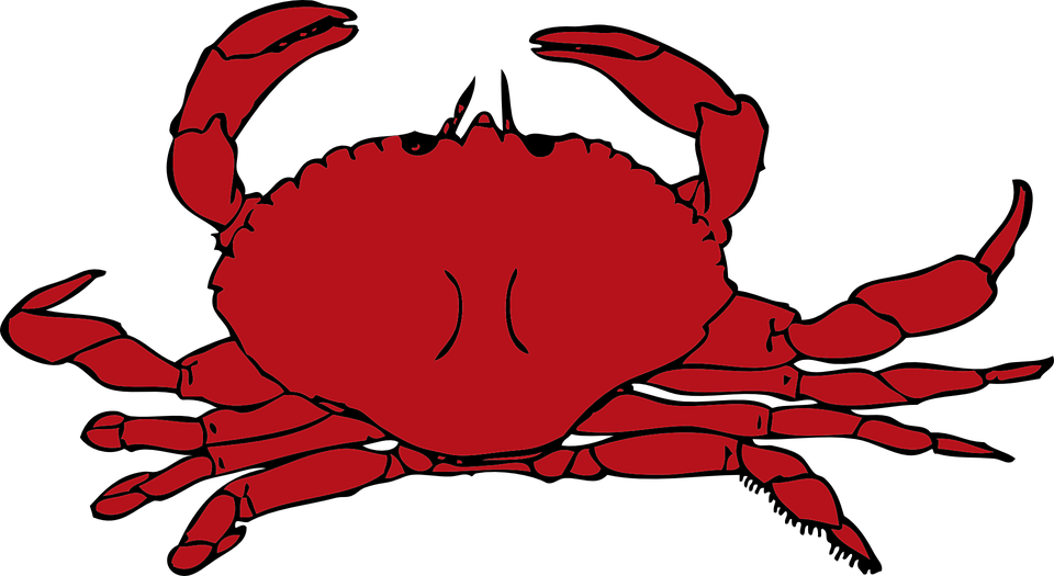 Crab PNG Transparent Images, Crab Clipart Free Download