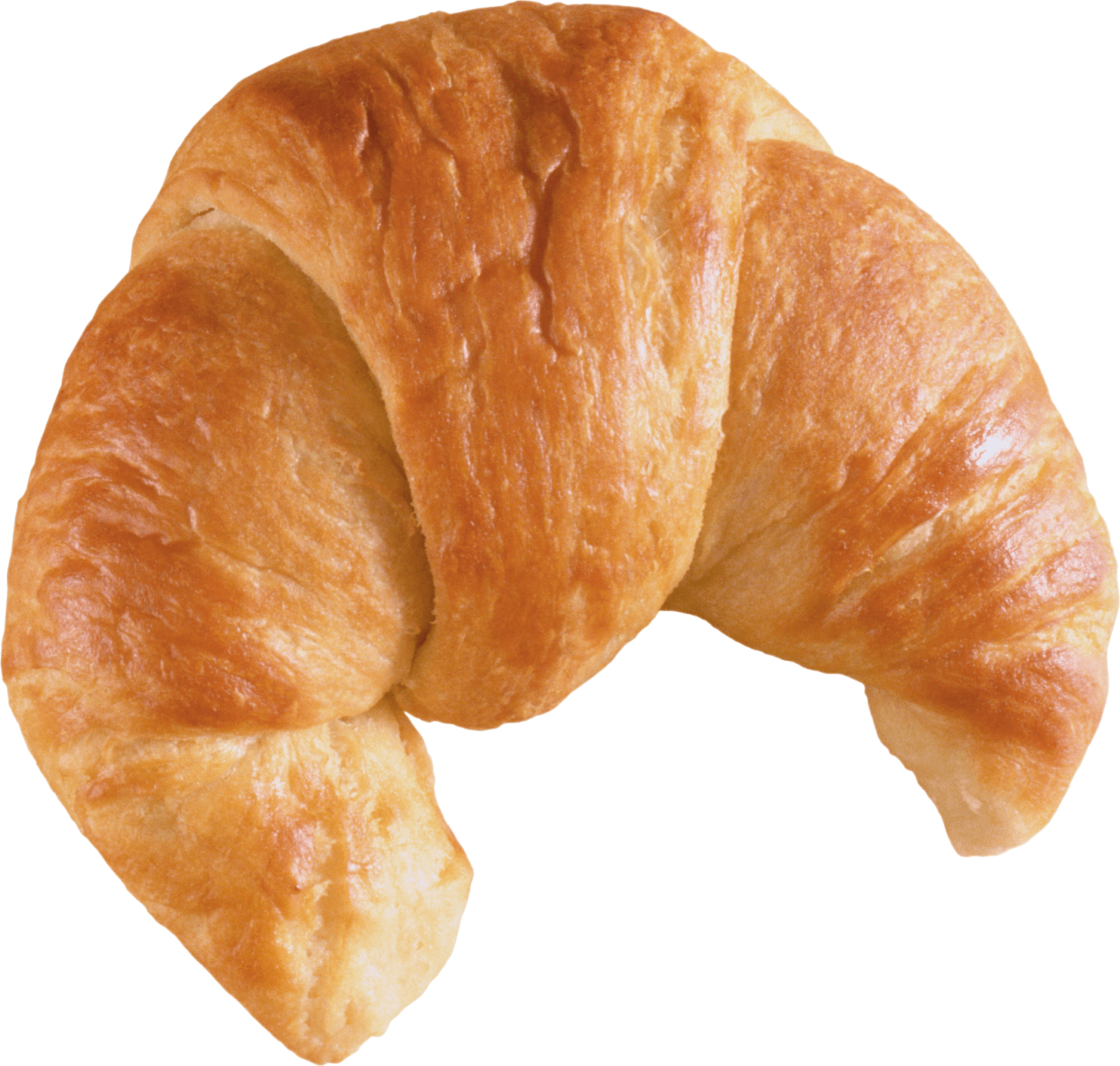 croissant png clipart image #39708