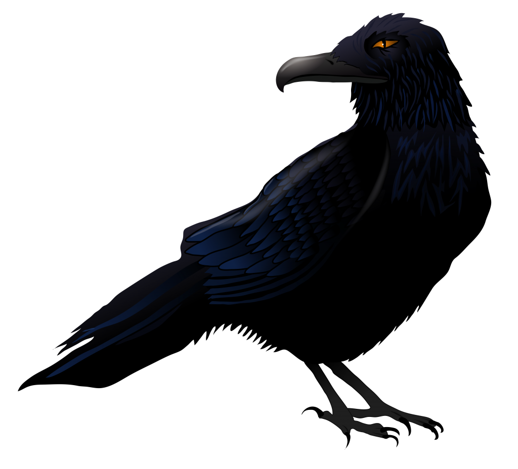 scary black crow free image png #26994