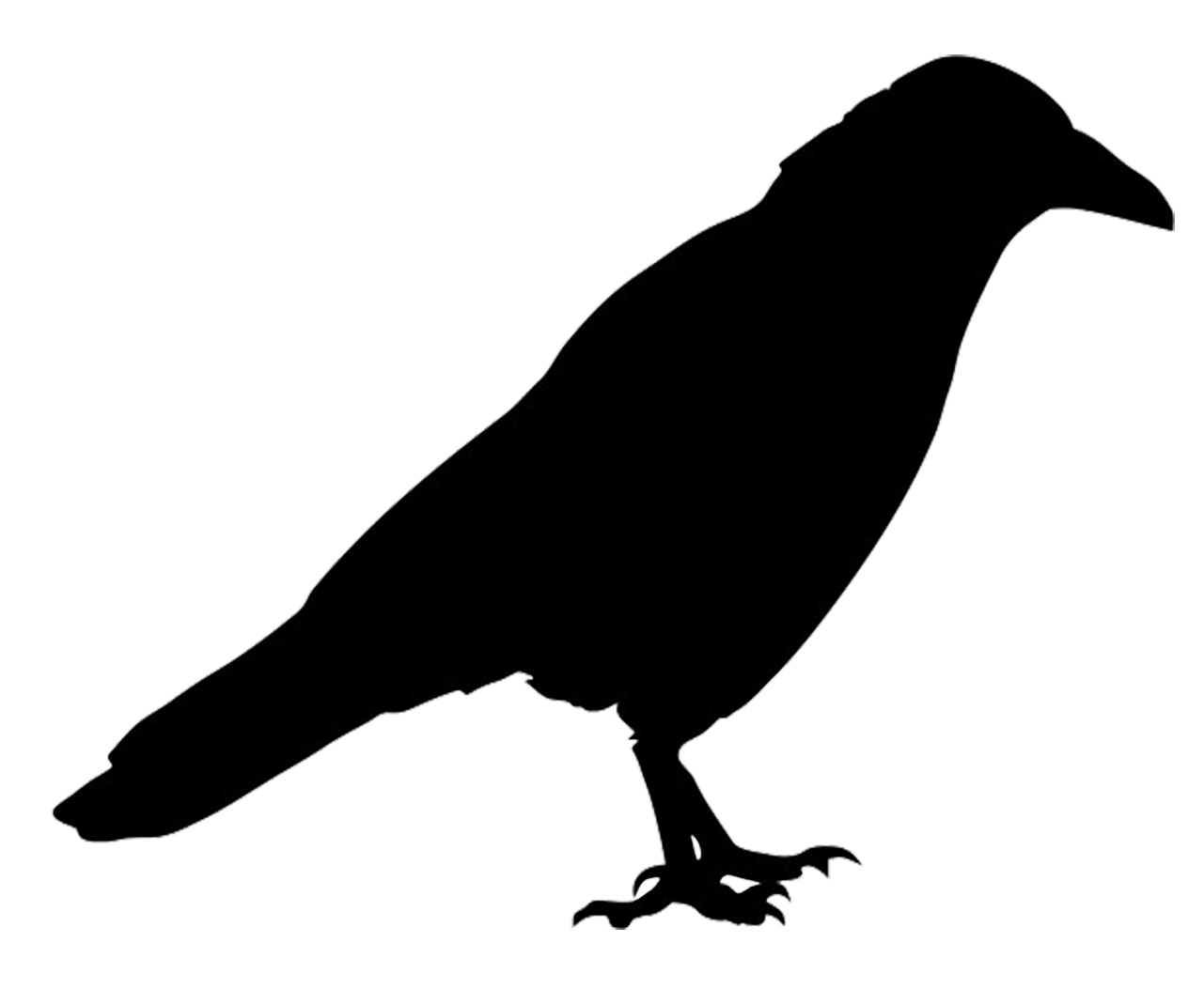 raven bird black shape transparent png #27615