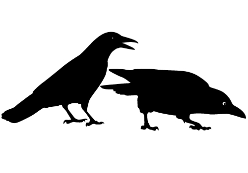 two black bird vector silhouette crow png #27614