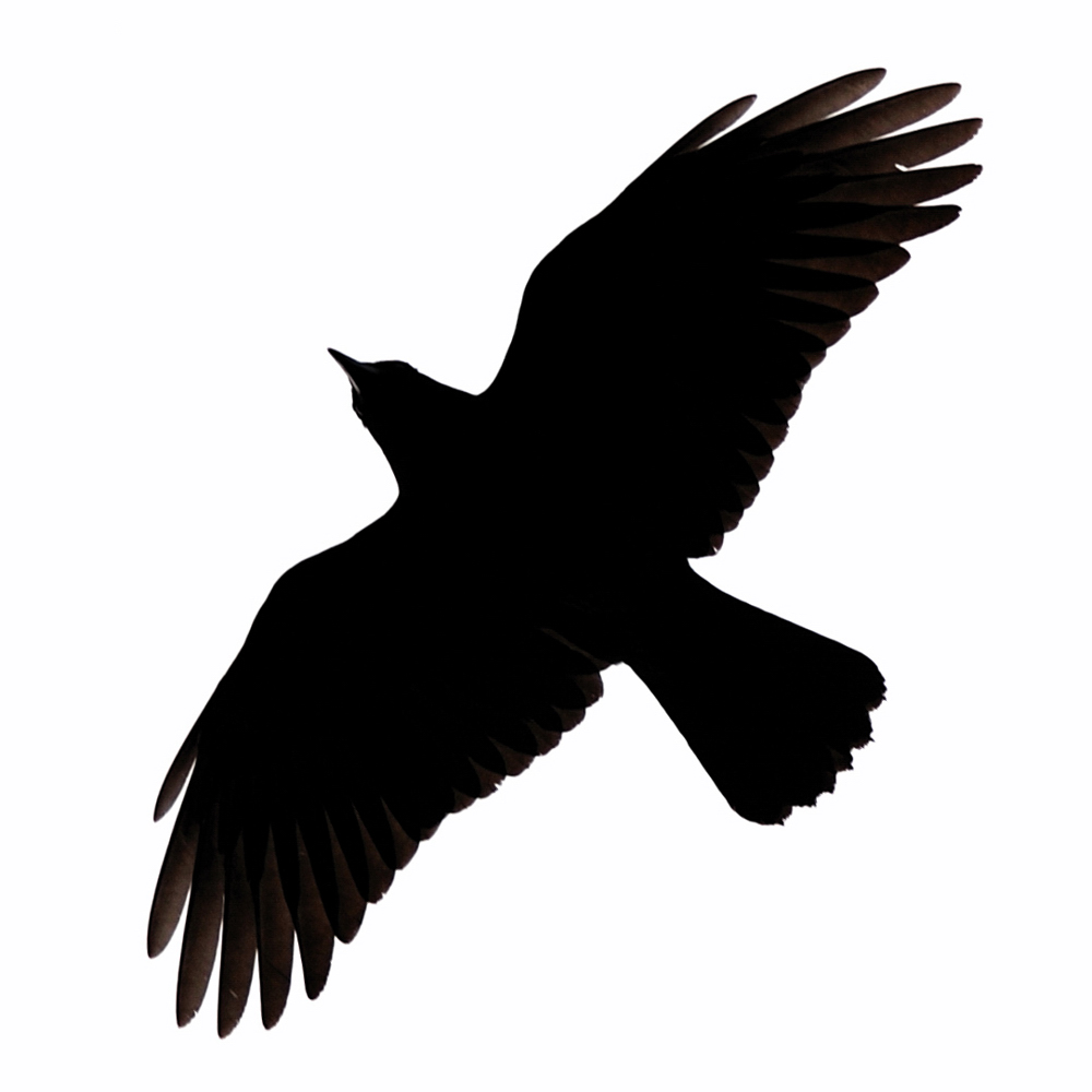 crow in the sky silhouette clipart #27625