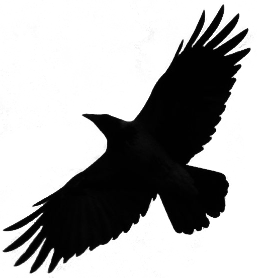 crow silhouette, crow png images with transparent backgrounds photos #27619