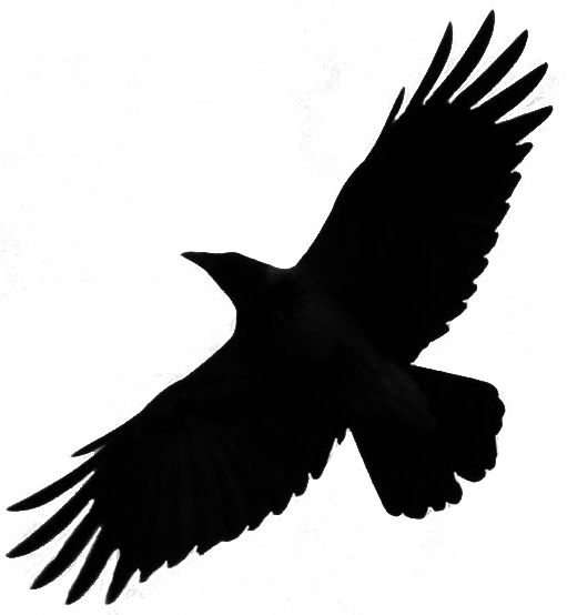 flying crow silhouette png #27619