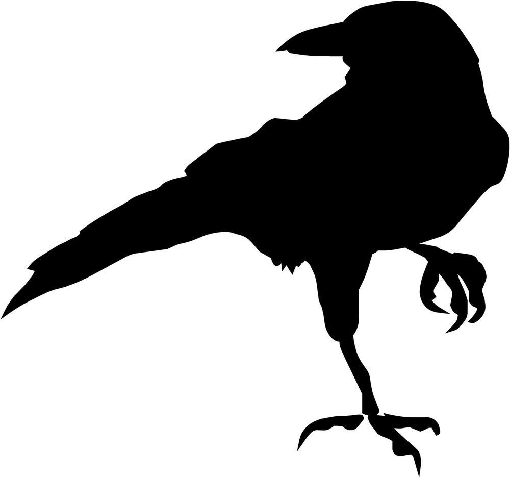 crow foot silhouette #27610