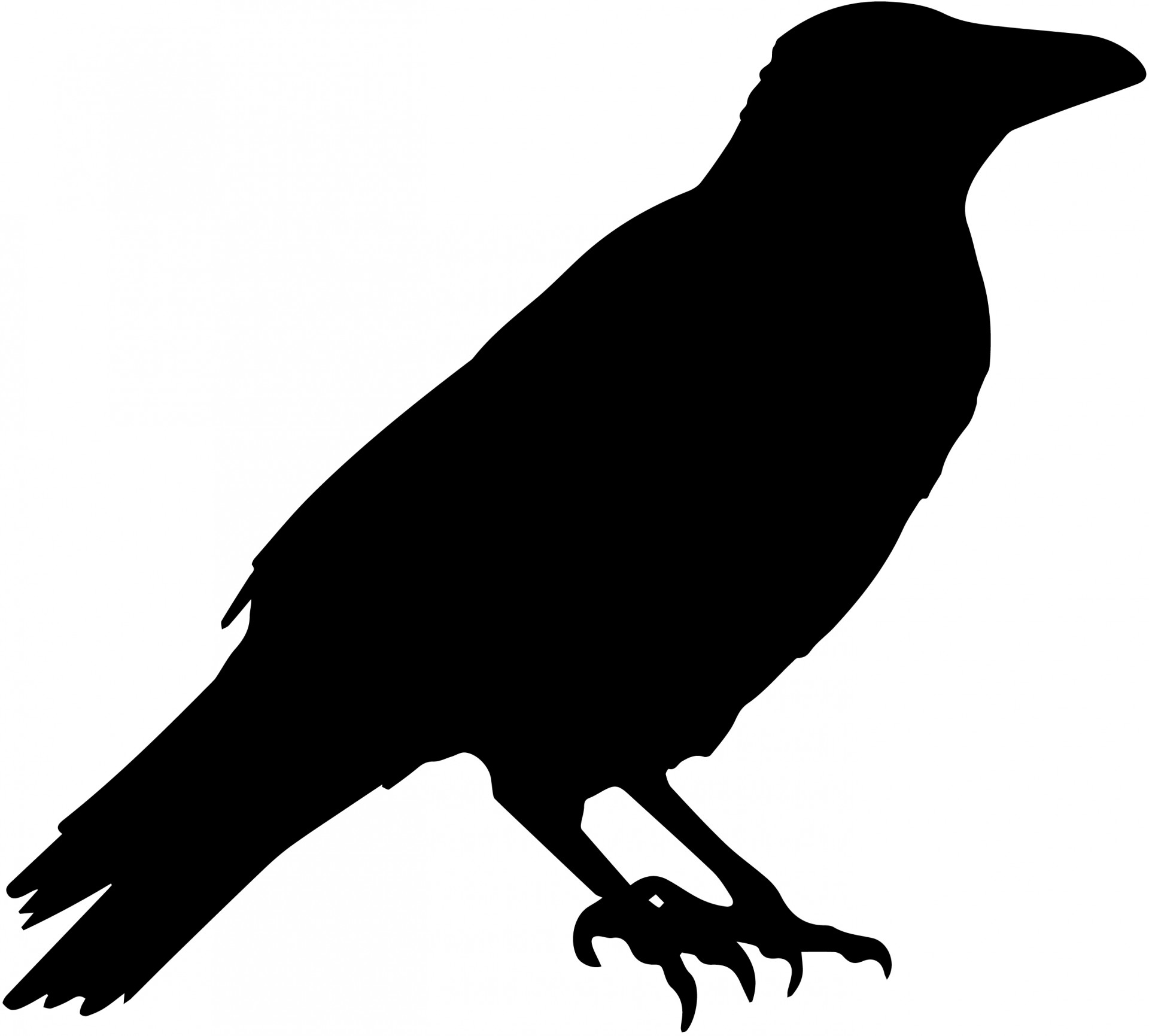 raven vector silhouette photo png #27600