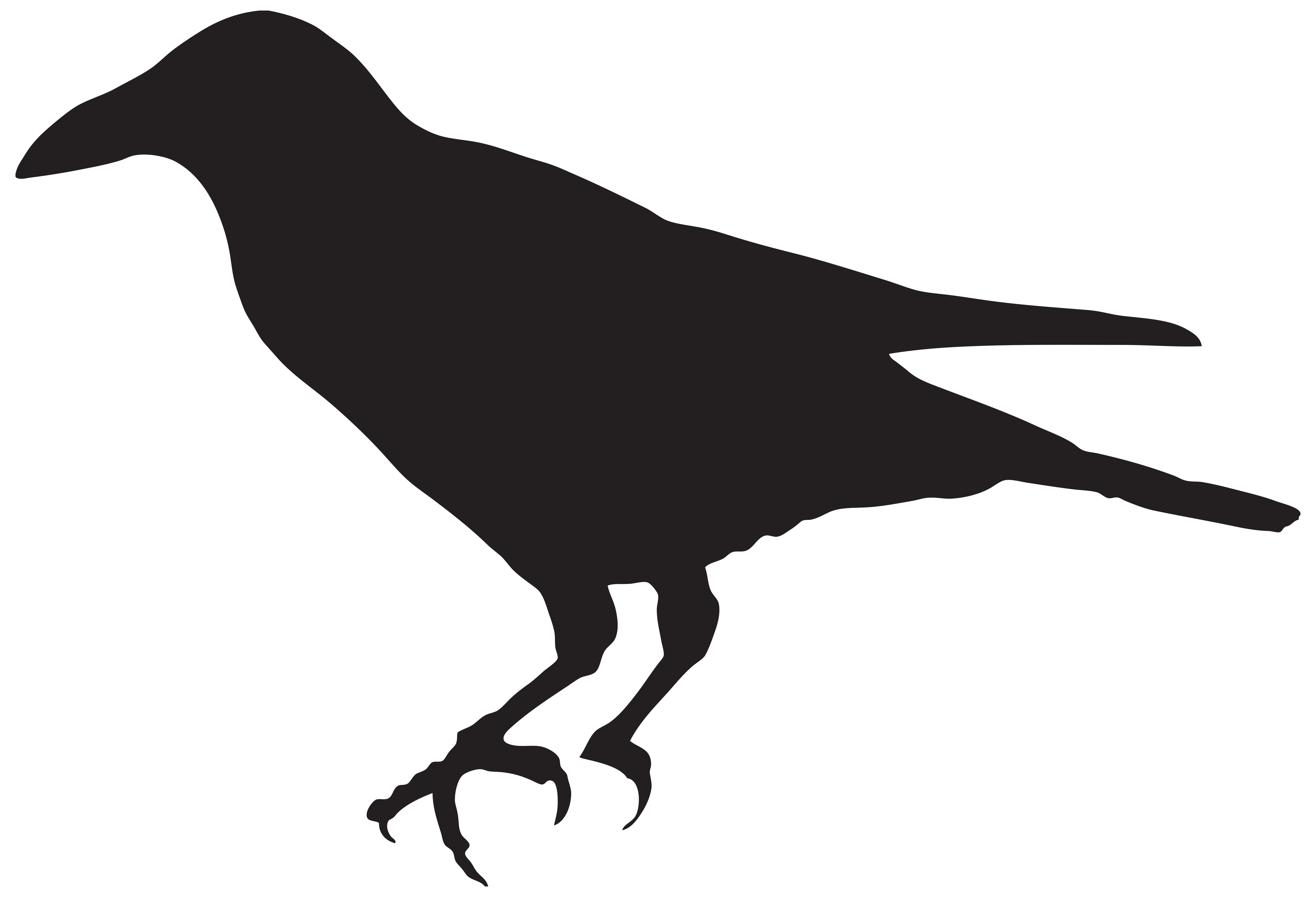 crow silhouette png clip art image ravens crows #27612