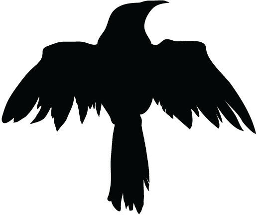 crow, wing, black bird png silhouette #27608