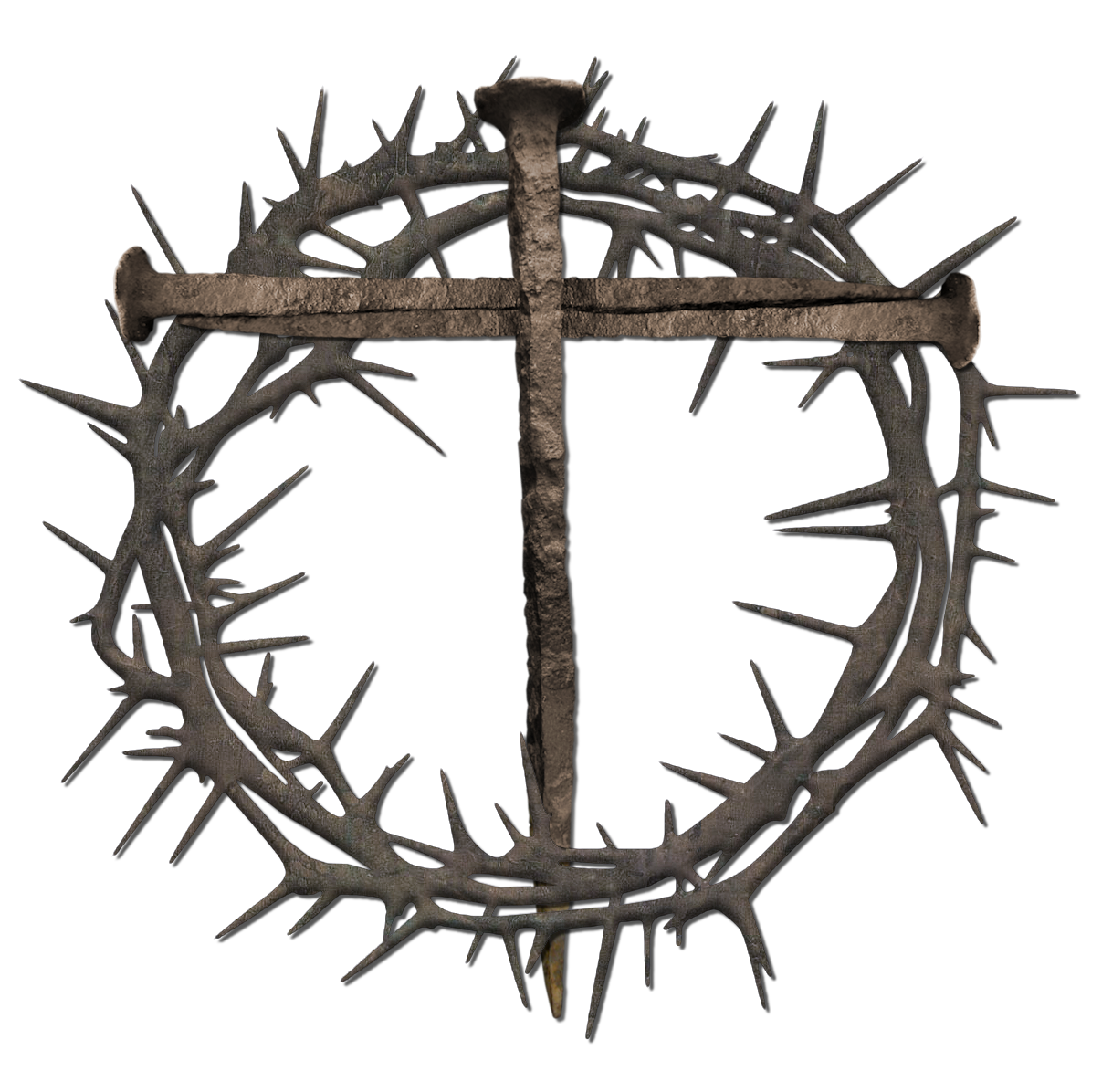 crown of thorns crown png file bing images pictures #36026