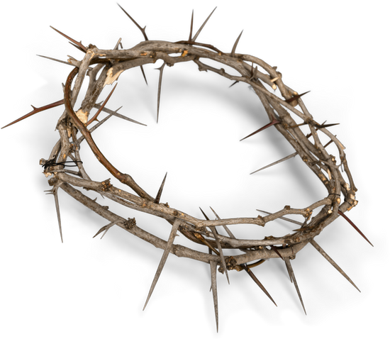 Free Free 115 Transparent Crown Of Thorns Svg SVG PNG EPS DXF File