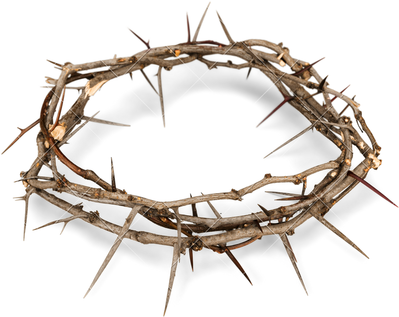 crown of thorns crown thorns png clipart #36050