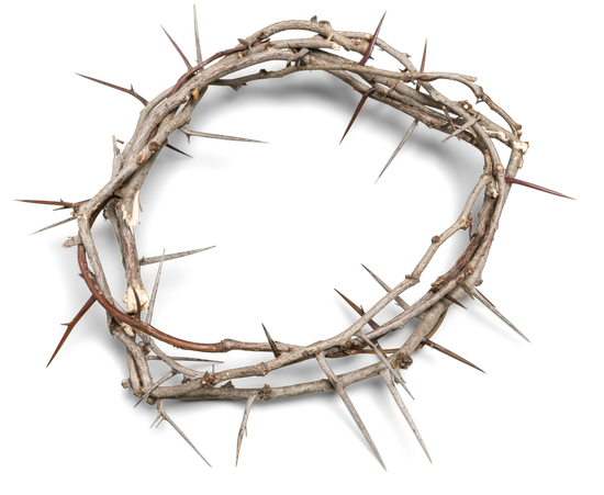 crown of thorns premium photos canva #36035