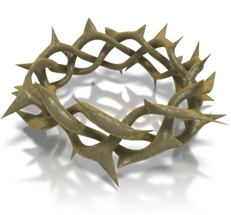 crown of thorns resurrecting scarlett begonias #36029
