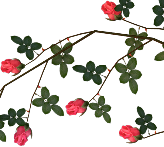 rose thorns clip art graphics #36092