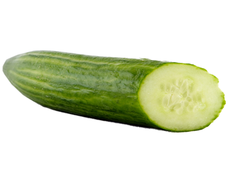 cucumber kindersay #26790