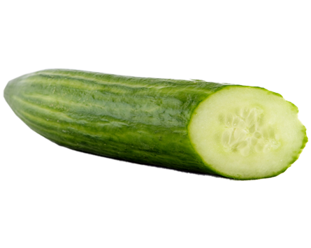 Cucumber