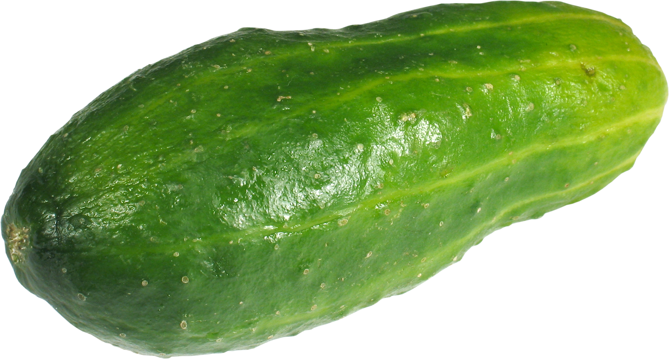cucumber png image download crazypngm crazy #26801