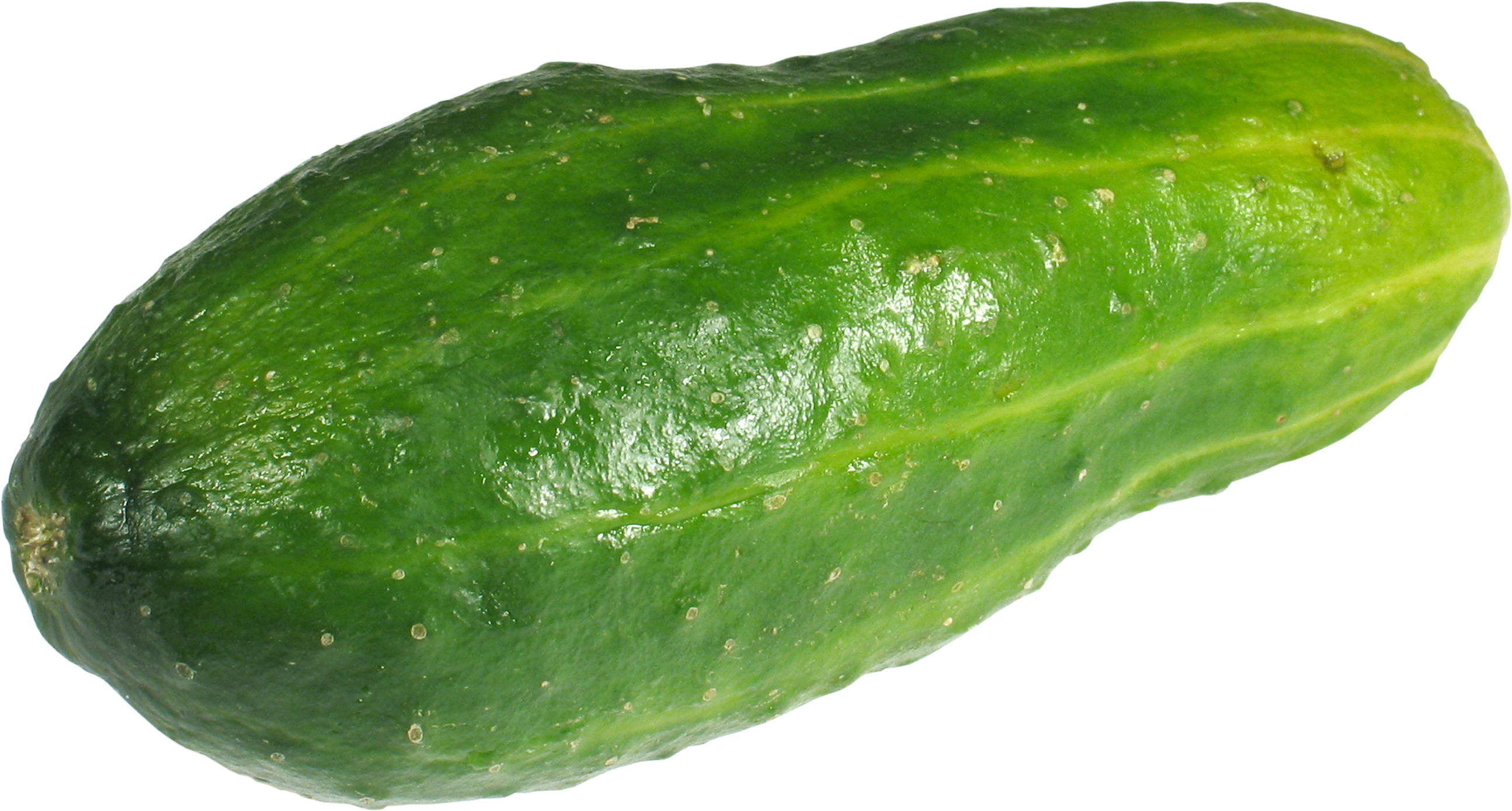 Cucumber