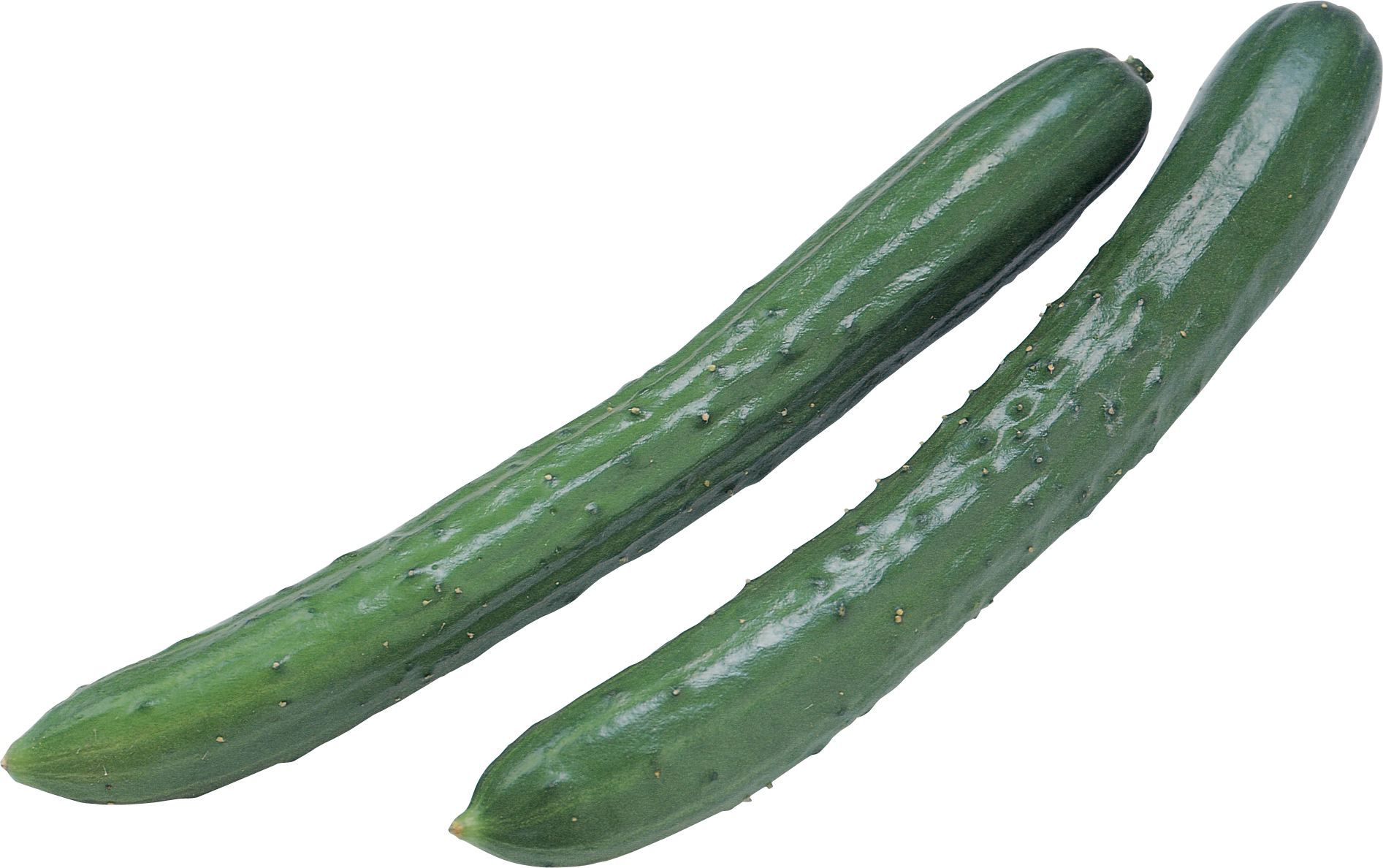 cucumber png image download crazypngm crazy #26804