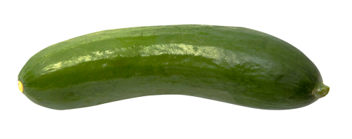 cucumber png image pngpix #26773