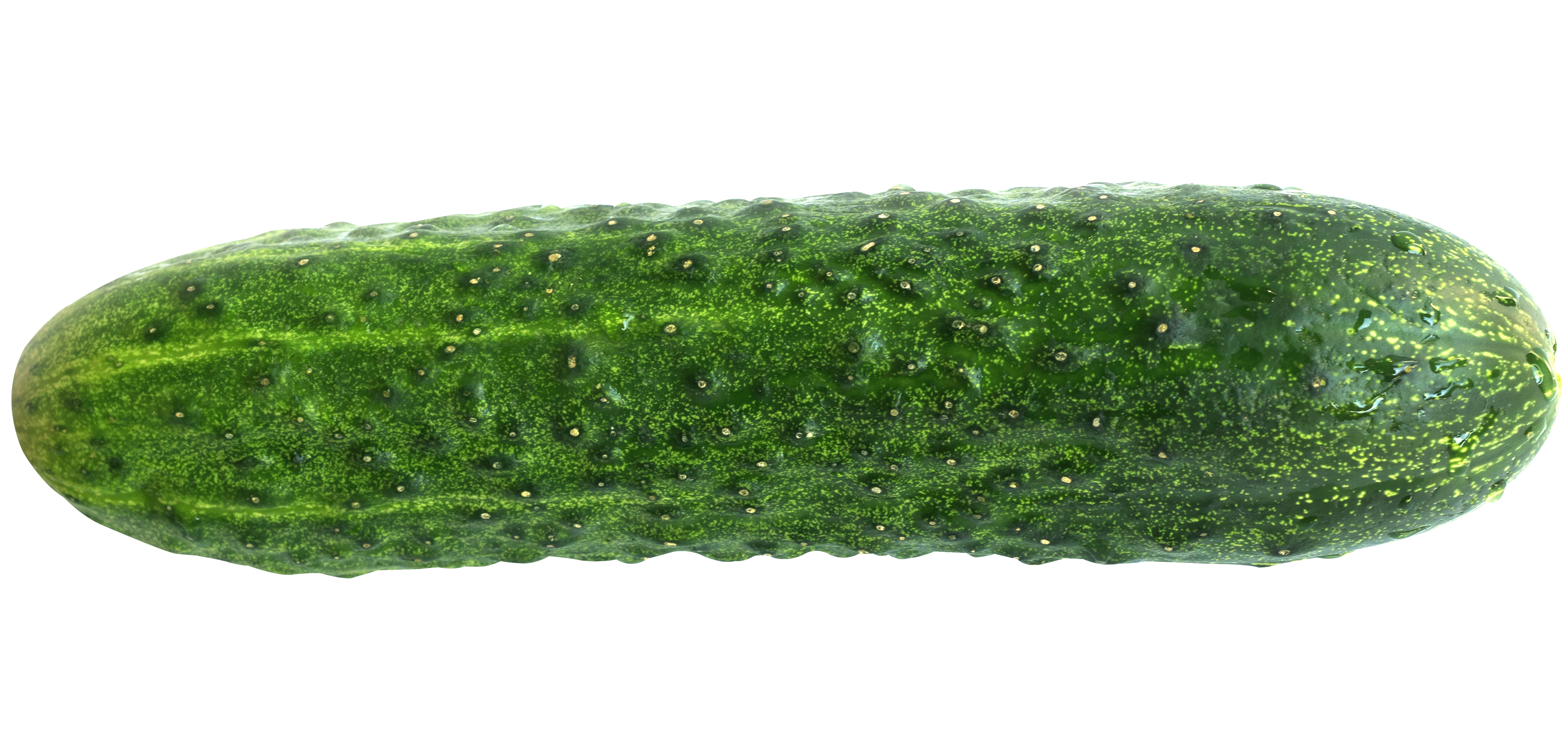 cucumber png image pngpix #26778