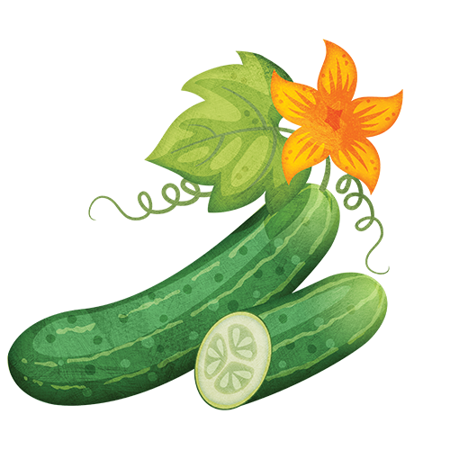 cucumber, seeds little garden #26806