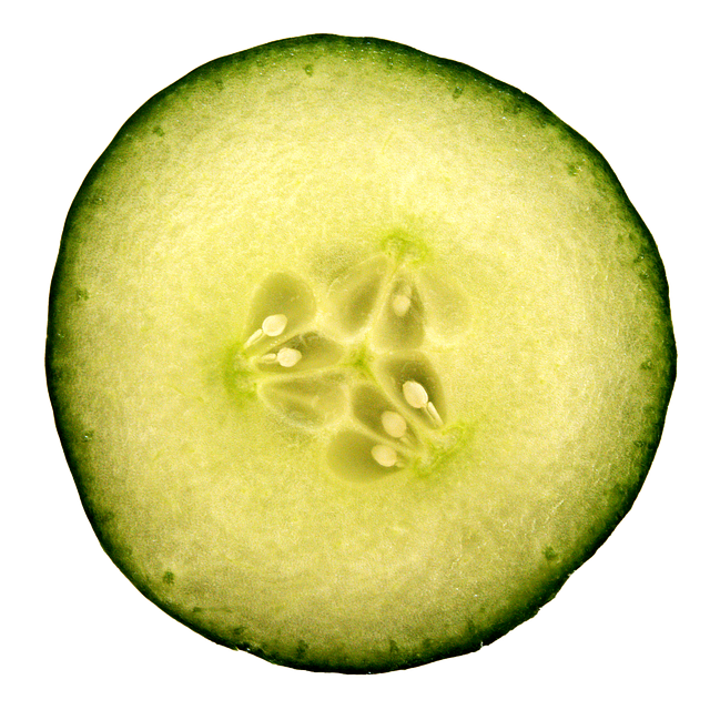 cucumber slice hydrate photo pixabay #26807