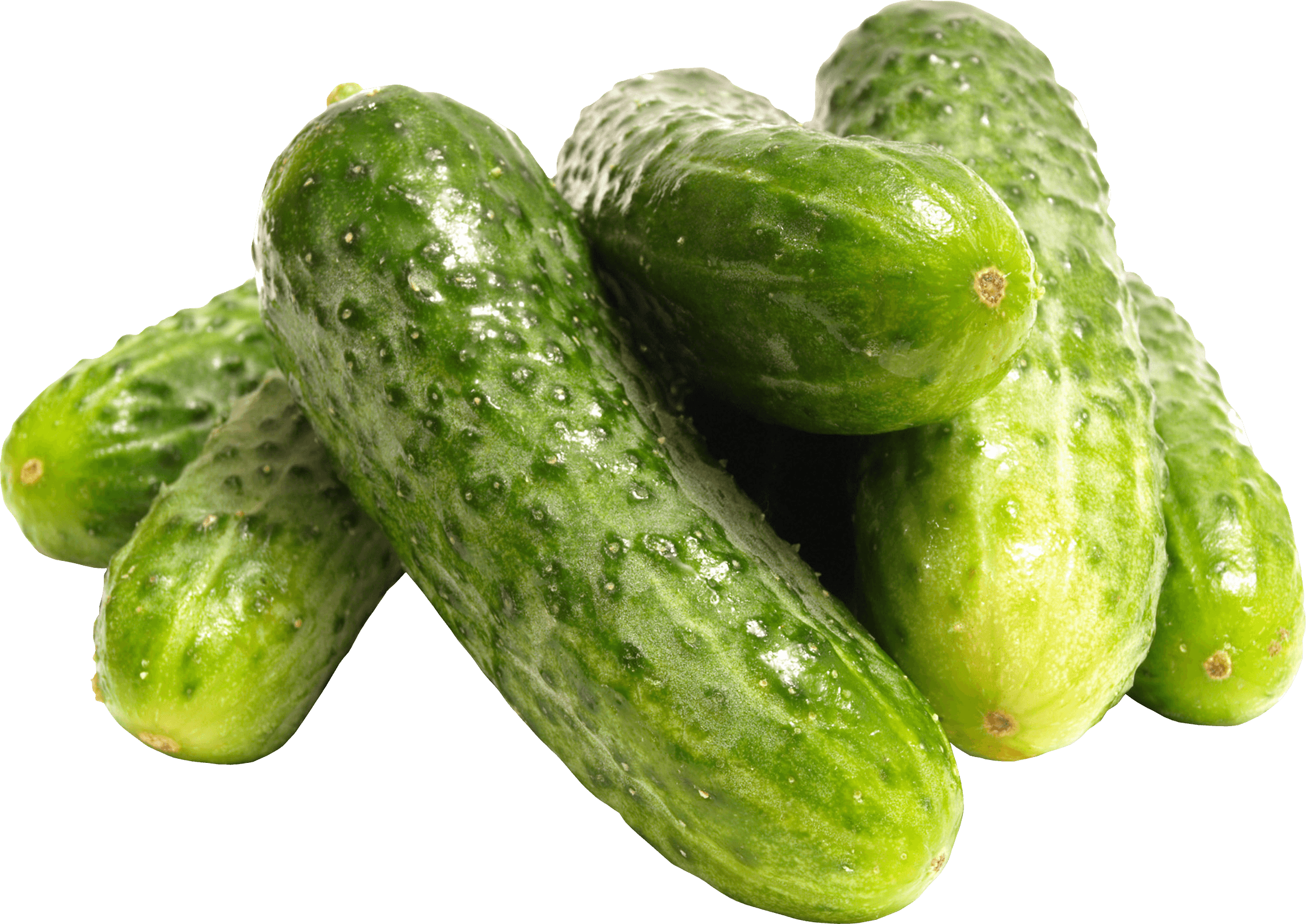 download green cucumber png image png image pngimg #26820