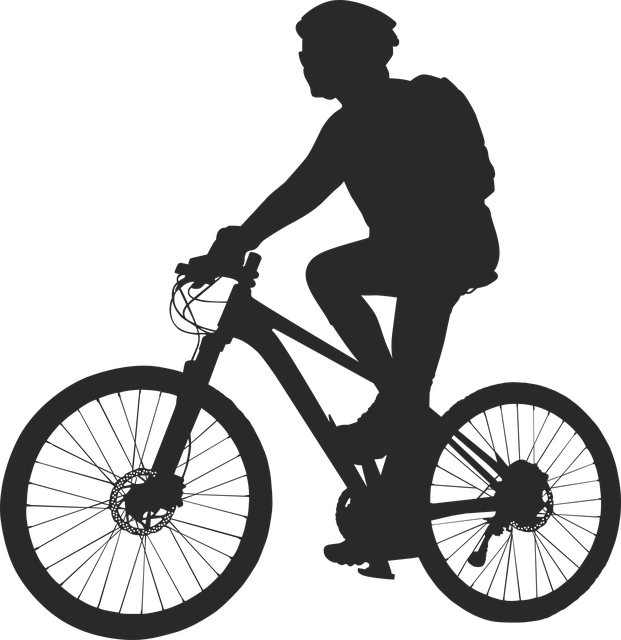 cycling bike vector graphic pixabay #33438