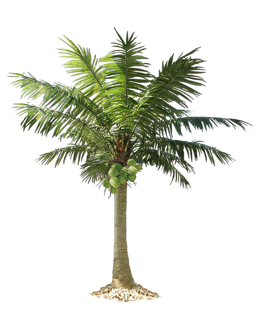 date palm, artificial palm tree and cocotree like real palm tree #32190