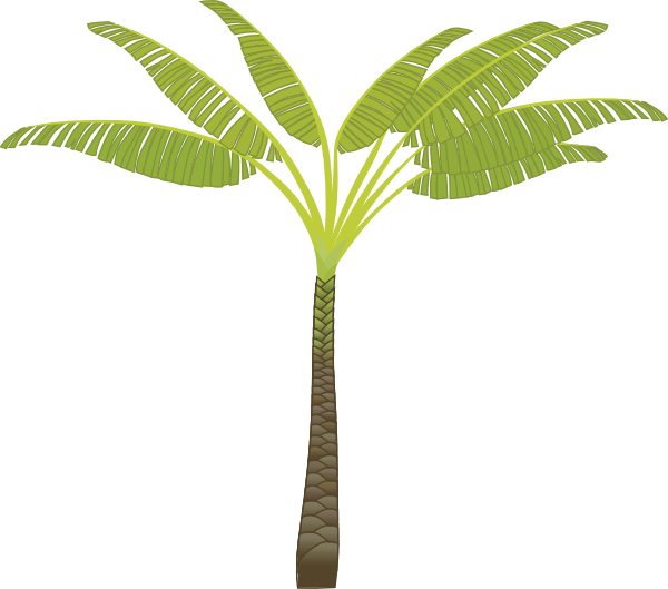 date plant, jungle trees clip art google cool stuff trees #32179