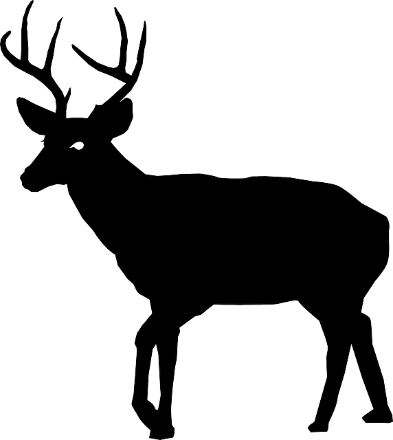 animal buck deer vector graphic pixabay #22312