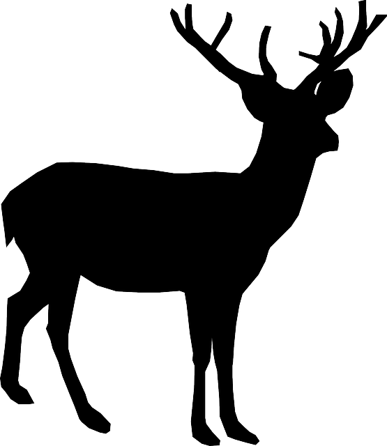 deer animal antler vector graphic pixabay #22316