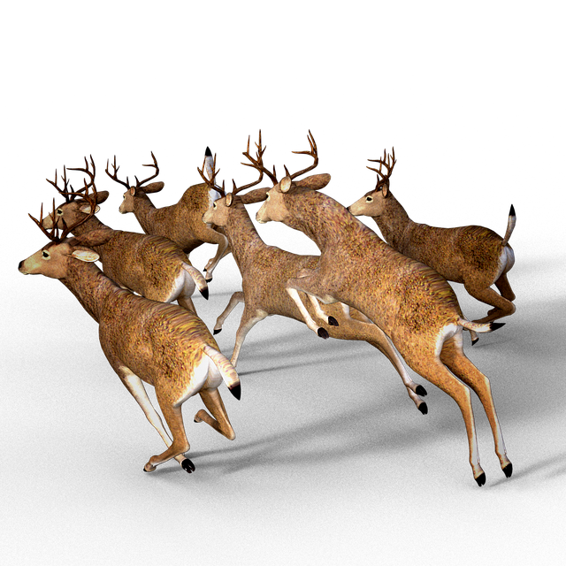 deer pack damm wild antler image pixabay #22299